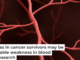 Poorly functioning blood vessels lead to the characteristic muscle weakness that so many cancer patients experience. Artur Plawgo/Science Photo Library via Getty Images